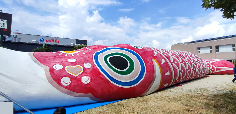 jumbokoinobori-zenkei.jpg